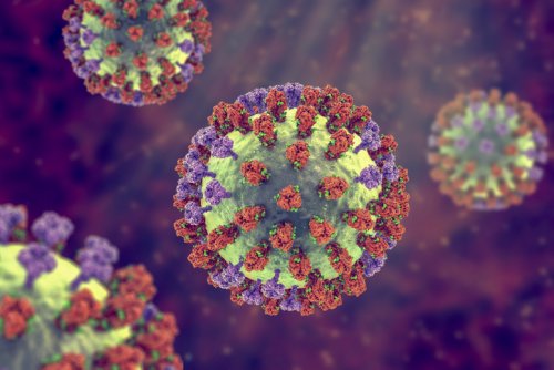 Antibodies Against H5N1 More Likely in Adults with History of Flu Infections
