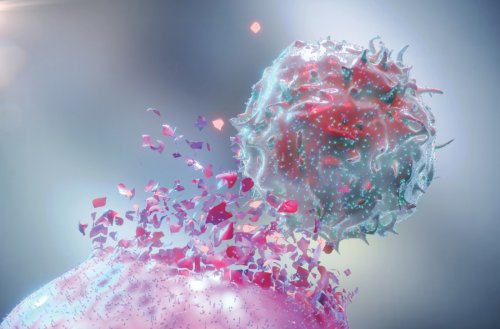 Funding the Next Generation of Cancer Therapies