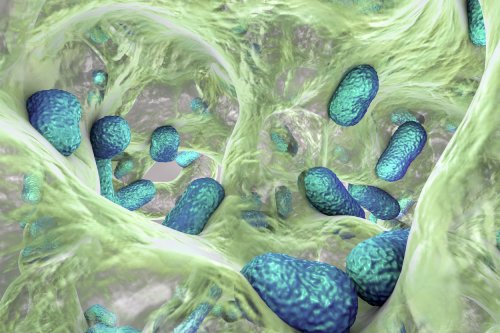Drug-Resistant Bacteria Stymied by AI-Designed Antibiotics