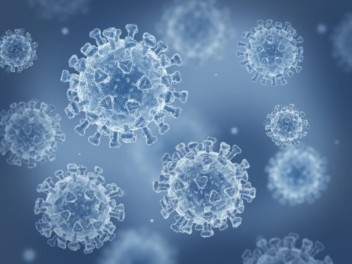 SARS-CoV-2 Mutation Signature Linked to Antiviral Molnupiravir