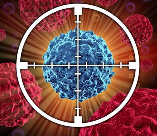 Multidrug Nanoparticle Platform Improves Drug Delivery against Cancer