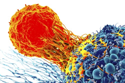 New Class of "Peptide-Centric" CAR-T Cells Eradicates Tumors in Mice
