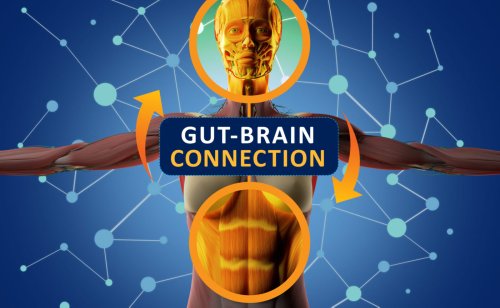 Gut Microbiome May Provide Novel Therapies for Neurological Disorders