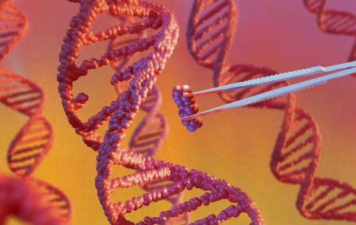 China Upholds Key CVC CRISPR Patent Licensed through ERS Genomics