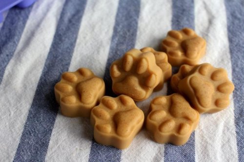 Barkzone – These Simple Dog Treats Help Your Pup’s Coat Stay Healthy & Beautiful! No Baking Required!