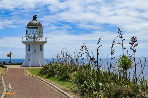 Das Northland von Neuseeland: Sehenswertes und Reisetipps