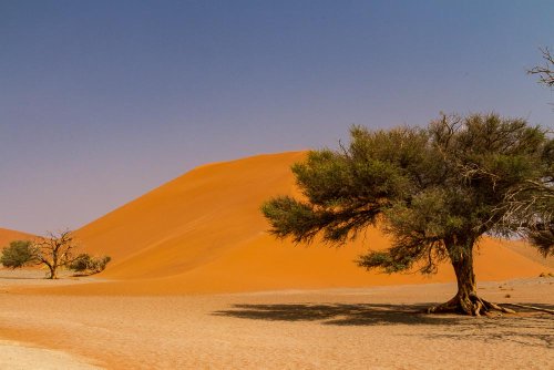 Sossusvlei – Zwei perfekte Tage in den Dünen Namibias