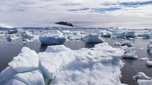Neue Studie: Arktis könnte schon in 2030er Jahren eisfrei sein