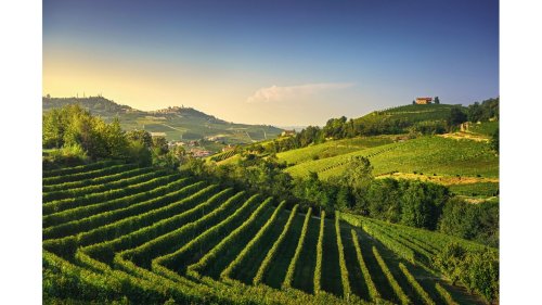 Italiens hohen Norden entdecken: Piemont weckt Sehnsüchte!