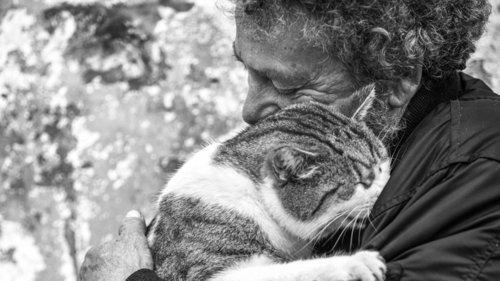 Rührende Fotografie: Männer, die mit Katzen schmusen