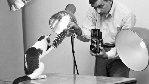 Der Mann, der Katzen fotografierte, lange bevor es alle machten