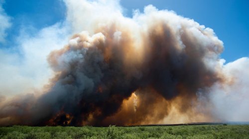Innovative Sensoren geben Hoffnung bei der Bekämpfung von Waldbränden