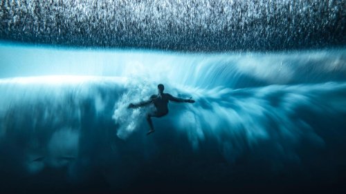 Zum Schaudern und Staunen: Die besten Unterwasserbilder des Jahres