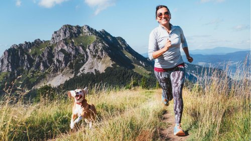 Joggen mit Hund: Darauf sollten Sie im Sommer achten