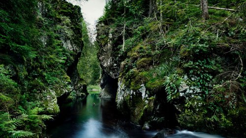 Wildes Deutschland: Zehnmal Natur zum Staunen
