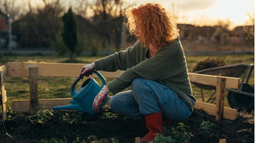 Gartenarbeit im März: 9 Aufgaben für den Frühling