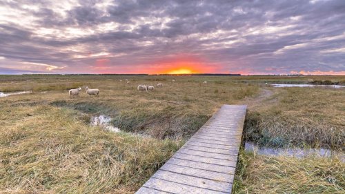Niederlande Durchatmen in Zeeland: Ausflugstipps zum Ruhe finden