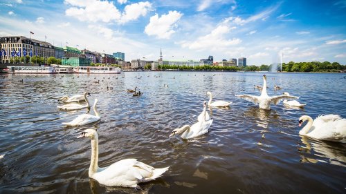Zehn Gründe, warum die Menschen in Hamburg so glücklich sind