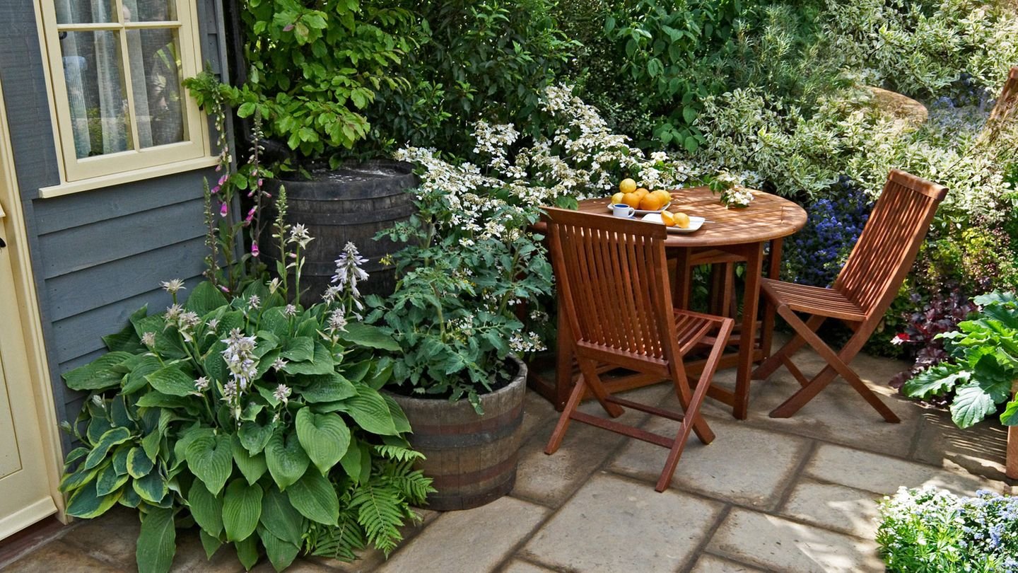 Mehr Privatsphäre Schnellwachsende Sichtschutzpflanzen für den Garten
