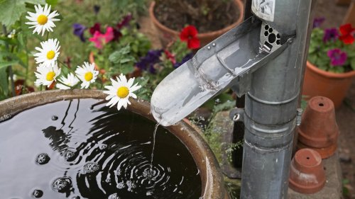 8 Tipps gegen Trockenheit im Garten