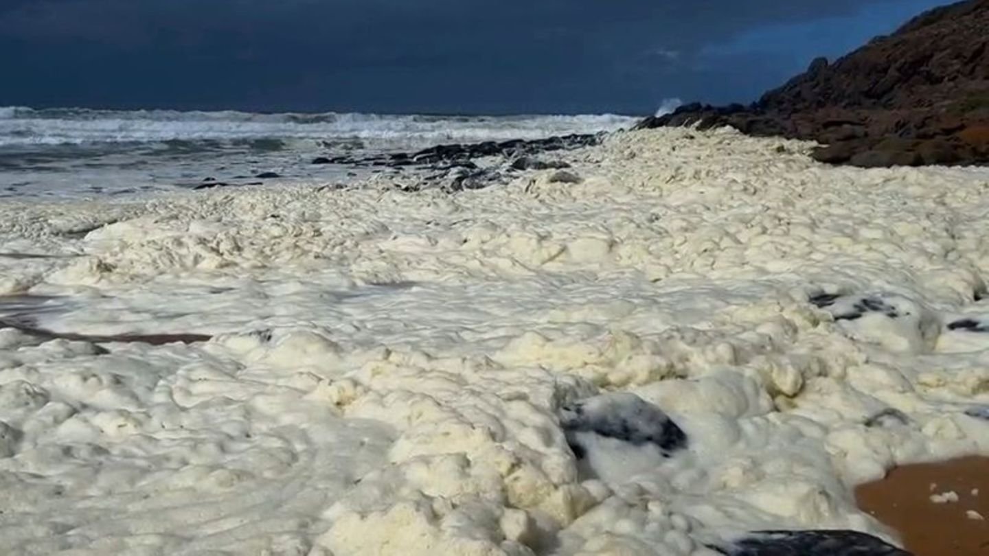 Australien Gelber Schaum, tote Tiere und kranke Surfer: Naturphänomen sorgt für Aufsehen