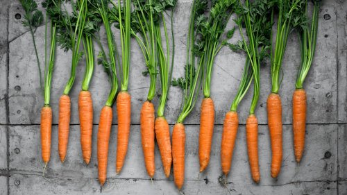 Wie die Karotte zu ihrer orangen Farbe kam