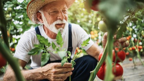 Zeit im Grünen Warum das Gärtnern so gesund ist und uns glücklich macht