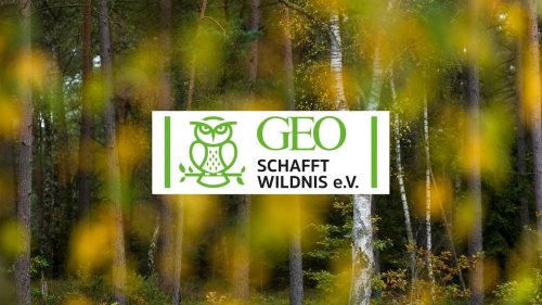 GEO schafft Wildnis e.V. Helfen Sie uns, einen wilden Wald bei Hamburg zu schützen