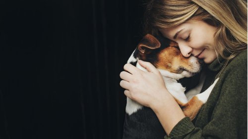 Hunde haben eine einzigartige Fähigkeit: Sie verstehen uns wie kein anderes Tier (GEOplus)