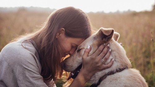 Ratgeber: So stärken Sie die Bindung zu Ihrem Hund