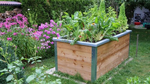 Seltener gießen: Hochbeet-Bewässerungssysteme erleichtern die Gartenarbeit