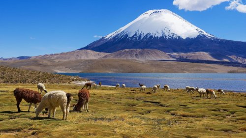 Traumziel Chile: 8 Highlights für Abenteurer