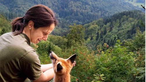 Freundschaft zwischen Füchsin und Forstwirtin: Das Jahr mit Sophie