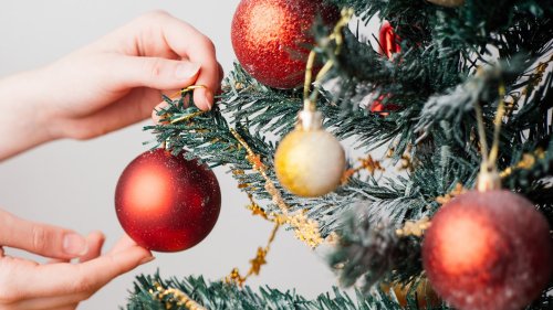 Plastik oder echt: Welcher Weihnachtsbaum ist ökologischer?