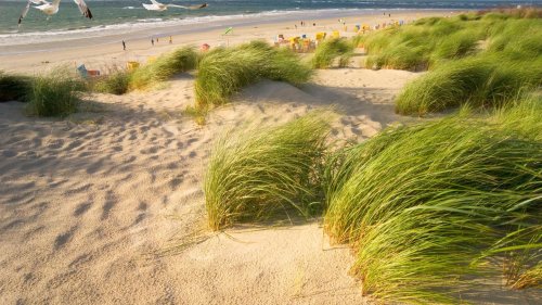 Nordsee Ab auf die Insel! Tipps für Langeoog