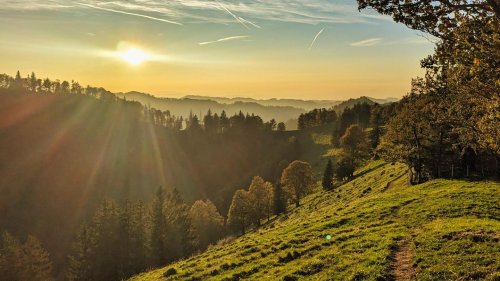 Ein Ort, vier Himmelsrichtungen: Acht Ausflugsideen ab Zürich