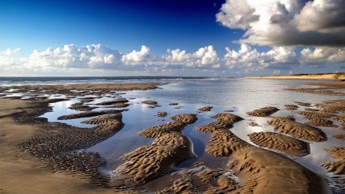 Interview Mondfische und andere rätselhafte Funde: So helfen Nordsee-Urlauber der Forschung