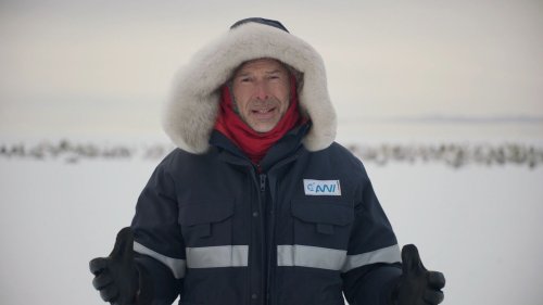 Gletscherschmelze in der Antarktis: Dirk Steffens über den Wettlauf gegen die Zeit