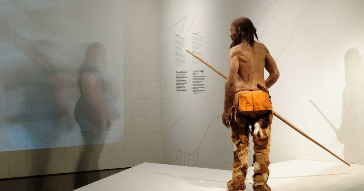 Le Chiffre de GEO: parmi 47 individus du Néolithique, « l’homme des glaces » Ötzi reste une énigme génétique