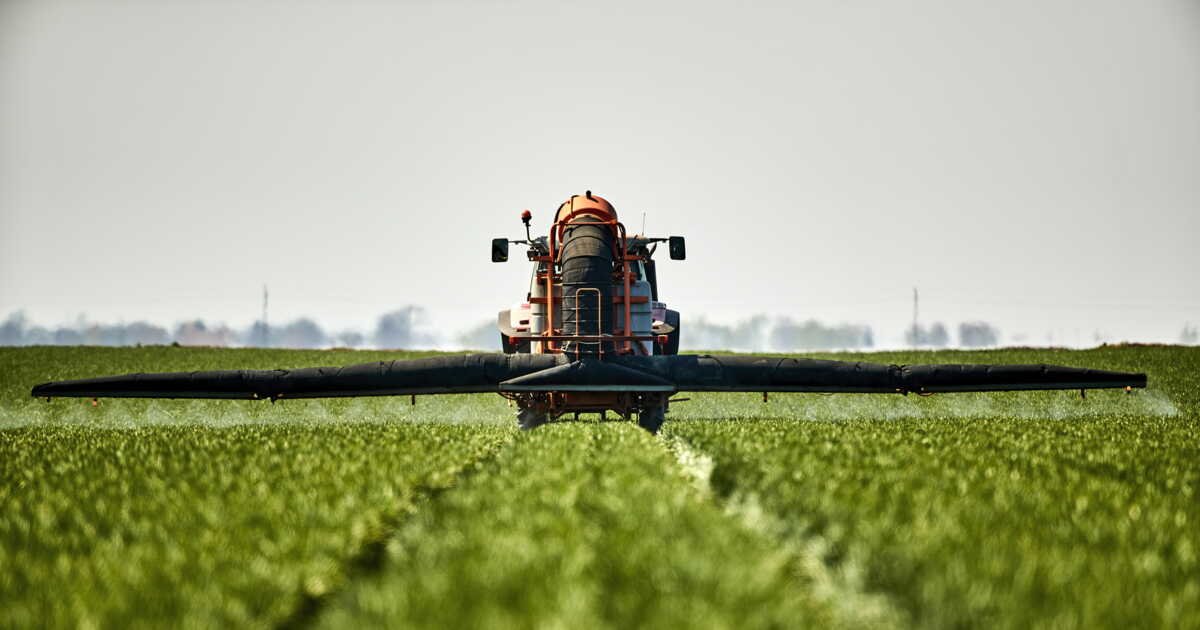 « La santé des populations est en danger », l&rsquo;alerte de scientifiques face à l&rsquo;utilisation de bromure de méthyle, un pesticide utilisé en Californie