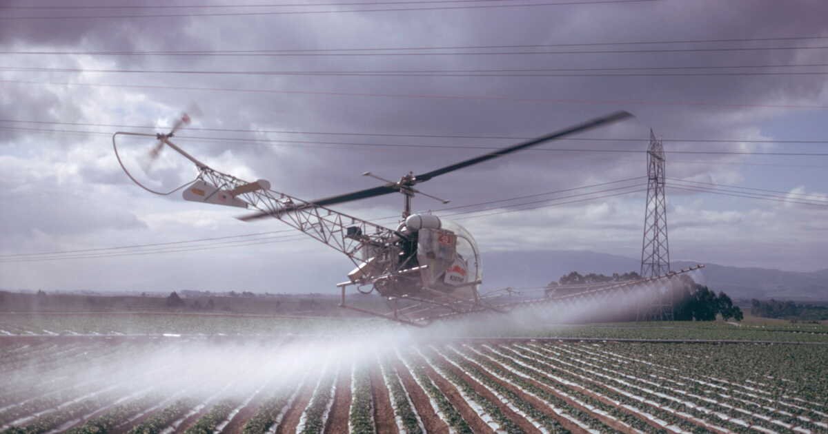 PFAS: un danger caché et omniprésent dans les cultures californiennes