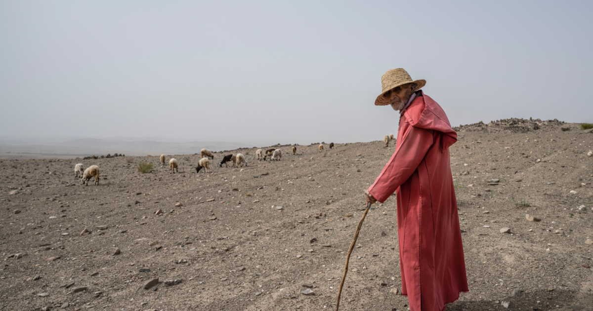 Au Maroc, l’eau dessalée sauve l’agriculture face à la sécheresse historique