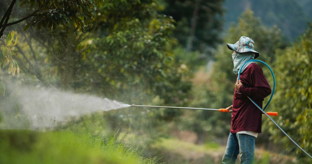 Agriculture: la loi Duplomb et la réintroduction d’un dangereux pesticide votées par les députés