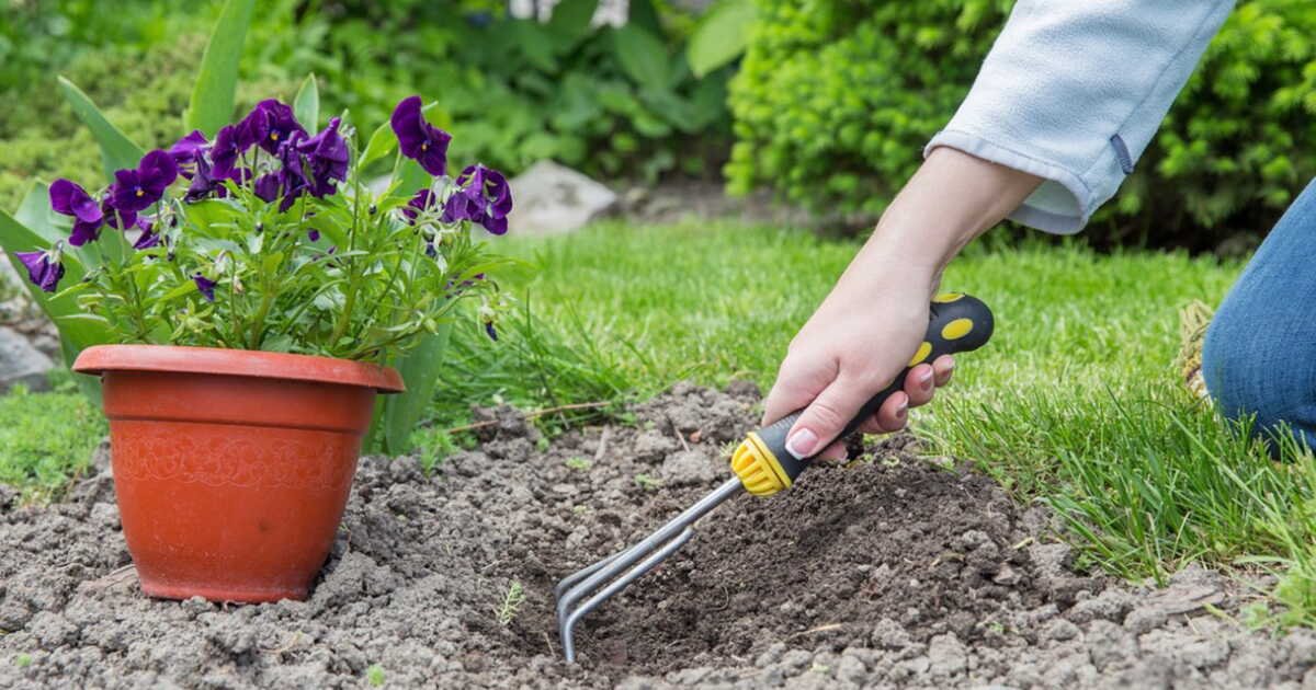 4 initiatives solidaires pour les amoureux du jardinage