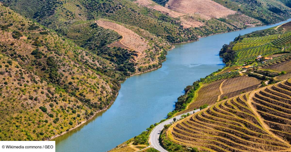 Connaissez-vous ce train restaurant qui sillonne la vallée du Douro, au Portugal ?