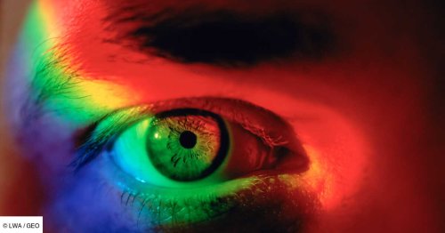 "Olo": cette couleur qui n'existait pas jusqu'à maintenant serait désormais visible par l'œil humain