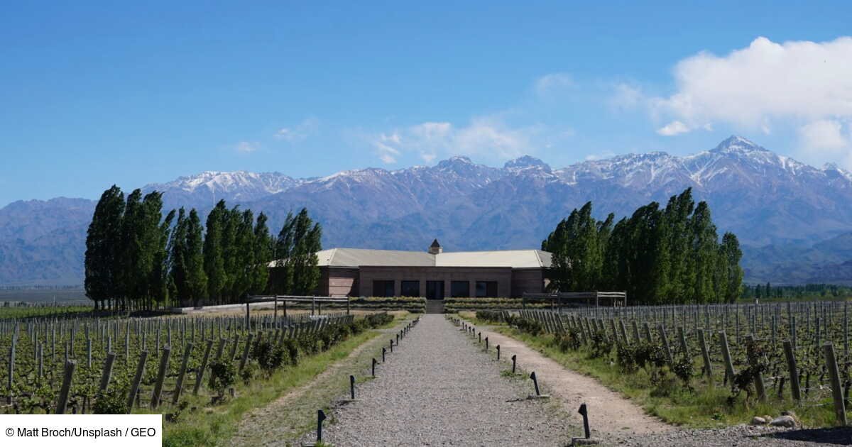 Road trip culinaire en Argentine entre malbec, empanadas et traditions gauchos