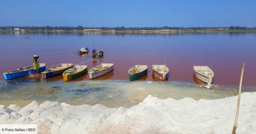 Au Sénégal, tourisme et extraction du sel au lac Rose sont menacés par la montée des eaux exceptionnelle