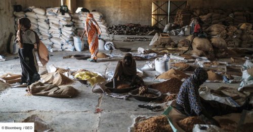Au Soudan, comment une milice accusée de génocide contrôle la gomme arabique, ingrédient clé de Coca-Cola et Danone