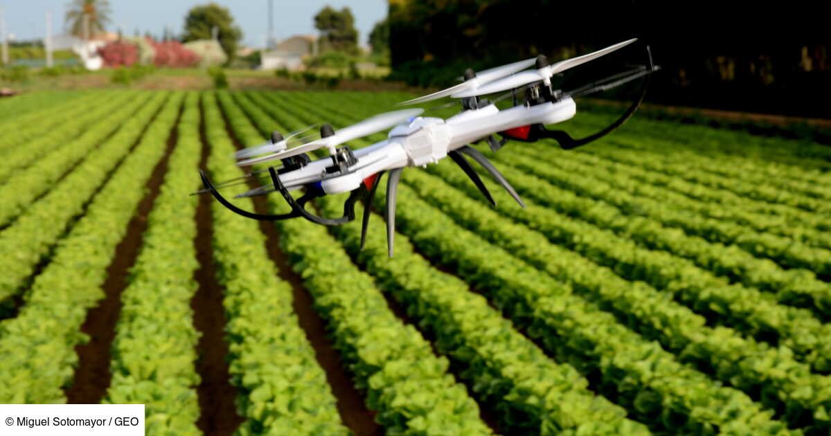 Salon de l’Agriculture: drones, micro-injection, agroforesterie, des innovations pour répondre aux nouveaux défis agricoles